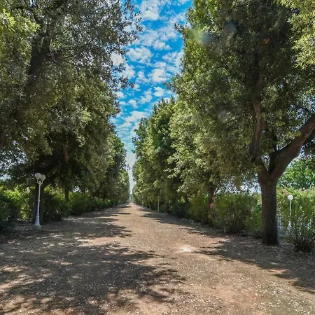 Masseria Profilo *
